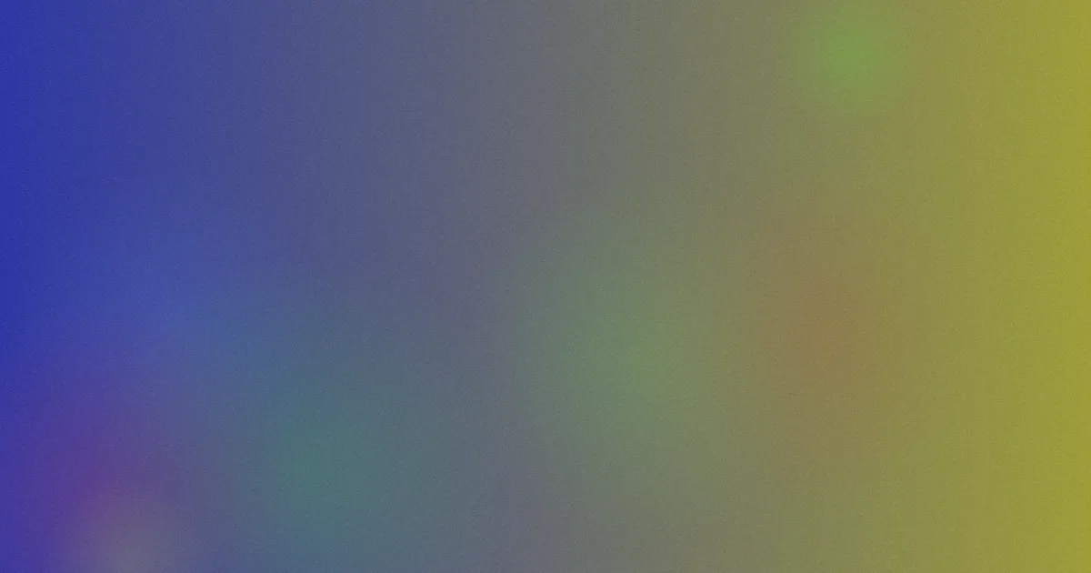 vanessa测评：避坑问答